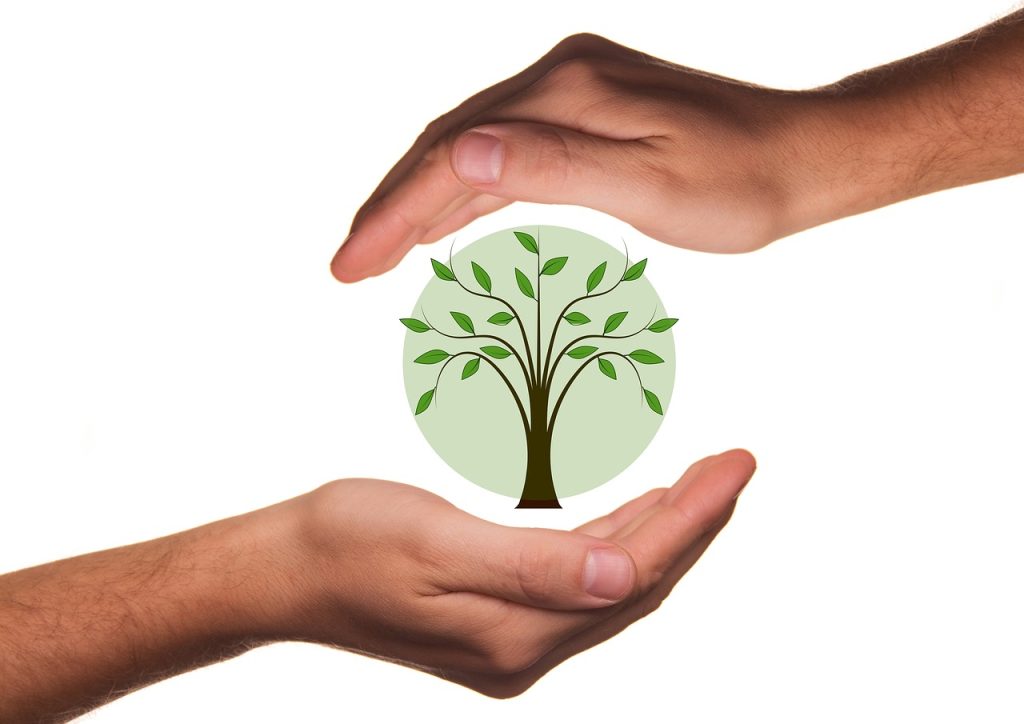Deux mains qui entourent une sphère avec un arbre à l'intérieur (montage).