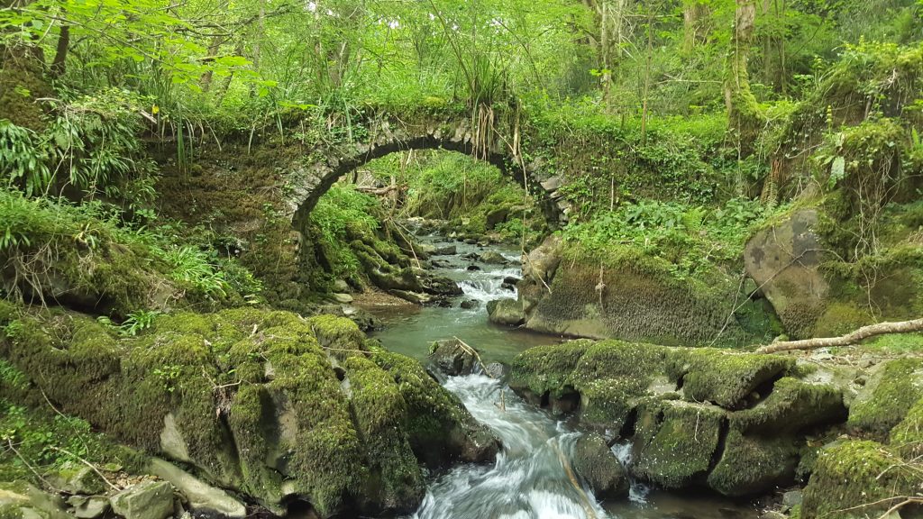 Petit pont en pierre recouvert de mousse au-dessus d’un ruisseau forestier, entouré de végétation luxuriante dans un milieu naturel préservé